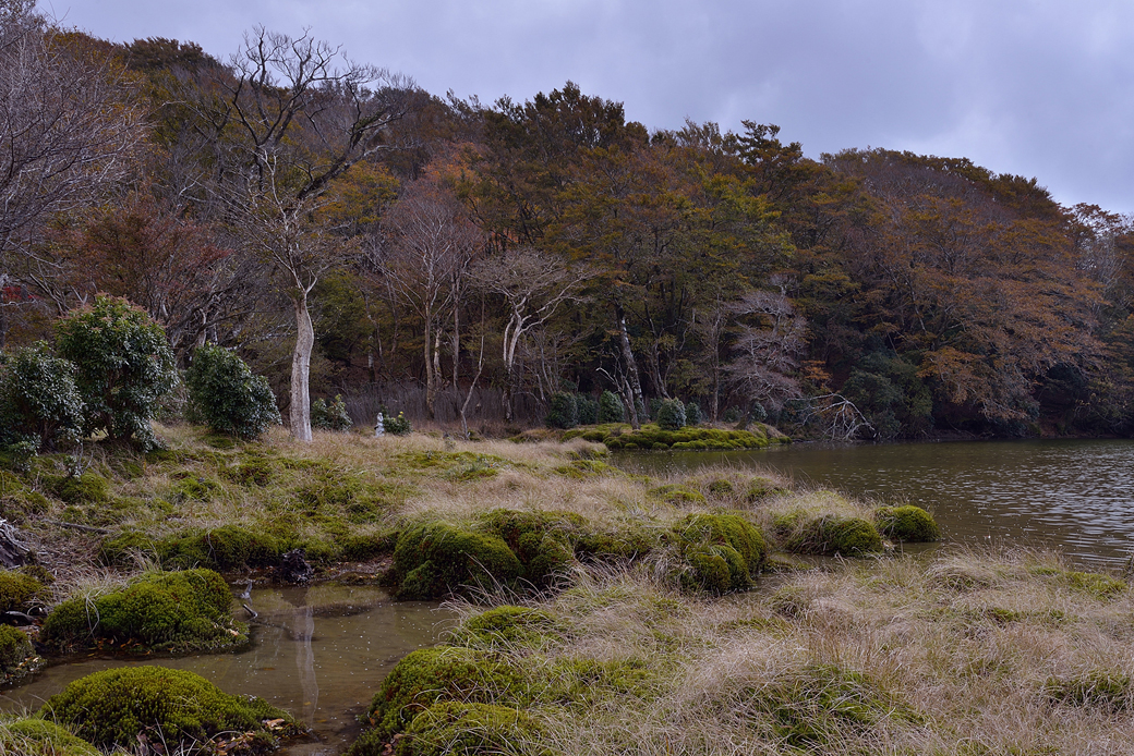 天城八丁池の紅葉