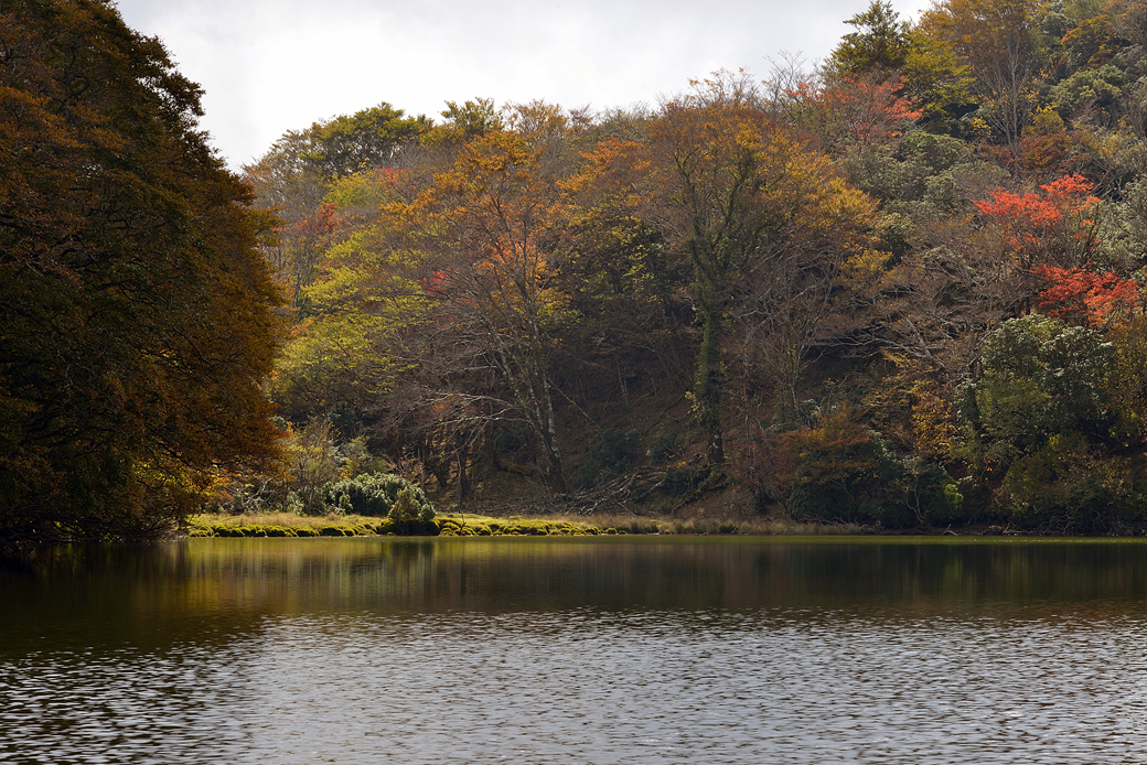 天城八丁池の紅葉