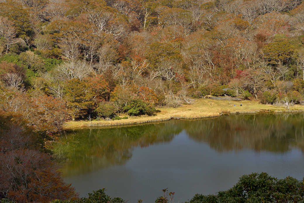 天城八丁池の紅葉