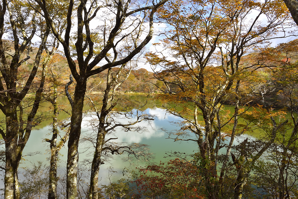 天城八丁池の紅葉