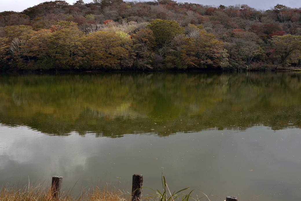 天城八丁池の紅葉