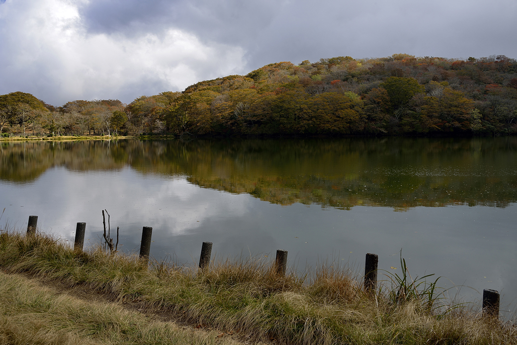 天城八丁池の紅葉