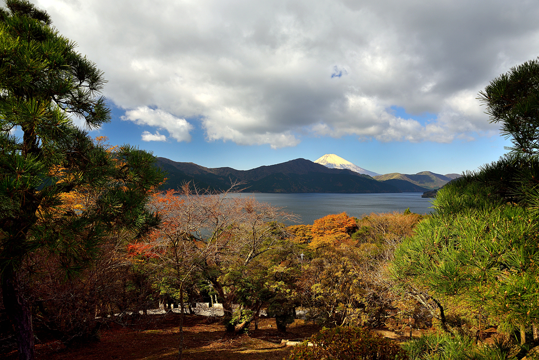 箱根美術の紅葉