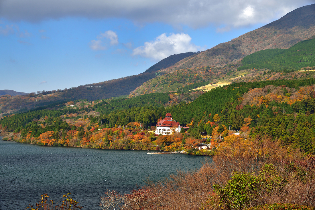 箱根美術の紅葉