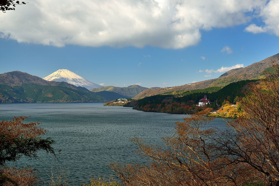 箱根美術の紅葉
