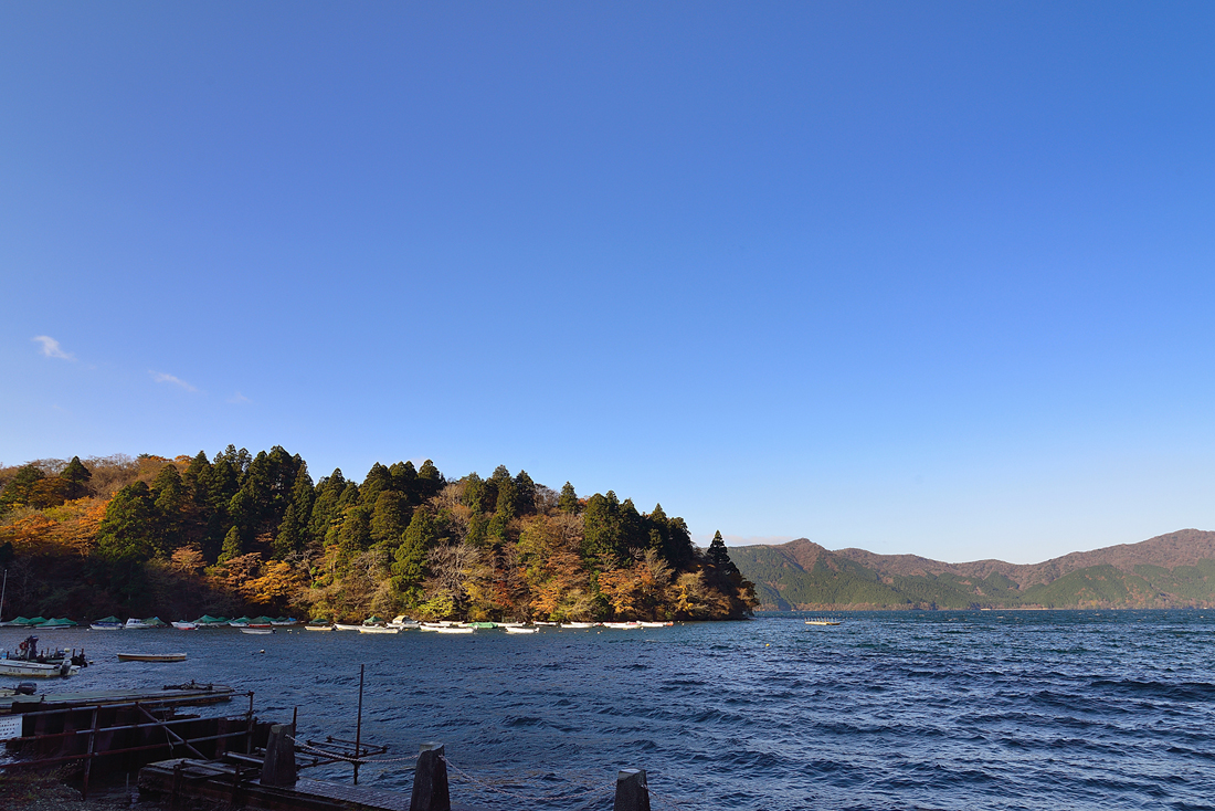 箱根美術の紅葉