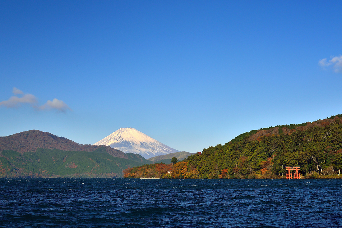 箱根美術の紅葉