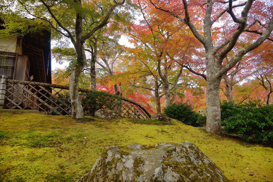箱根美術館の紅葉