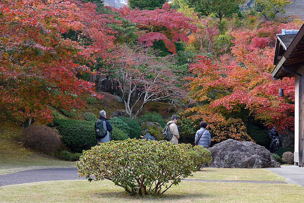 箱根美術館の紅葉