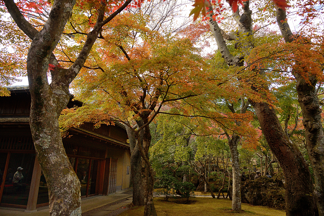 箱根美術館の紅葉