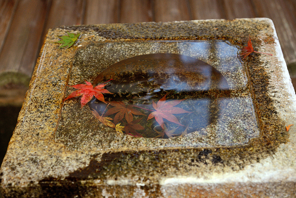箱根美術館の紅葉