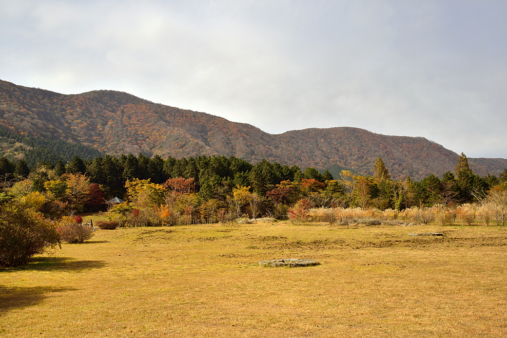 >箱根湖尻の紅葉