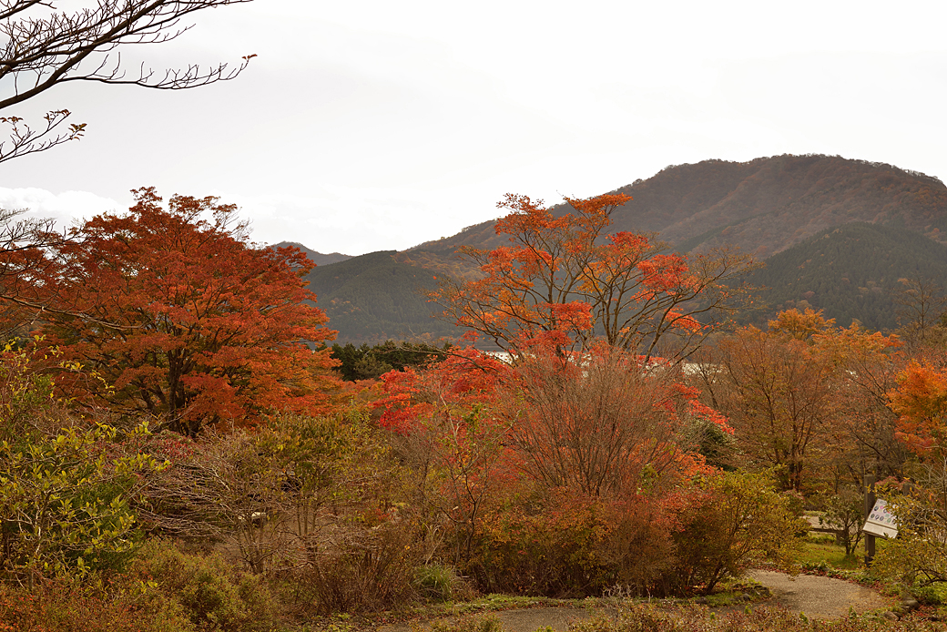 箱根湖尻の紅葉