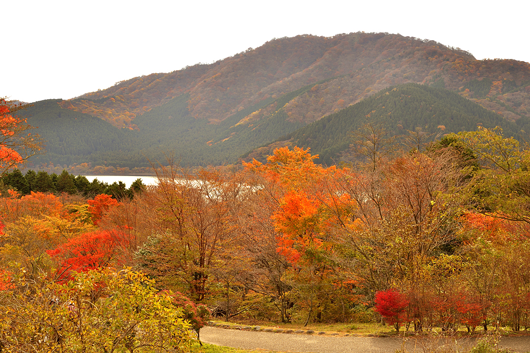 箱根湖尻の紅葉