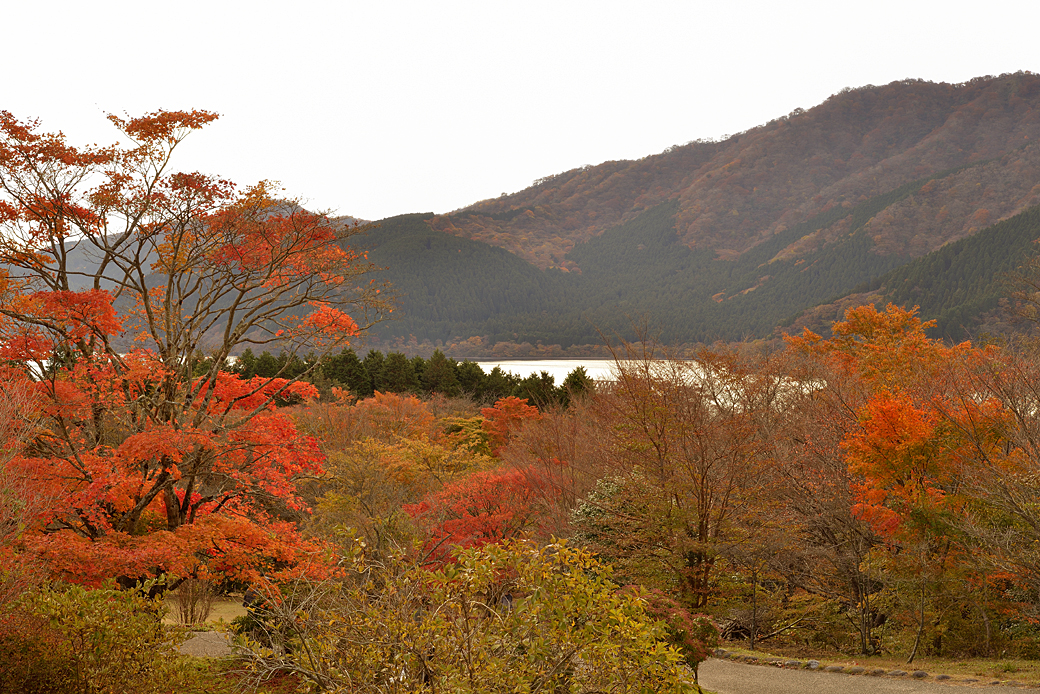 箱根湖尻の紅葉