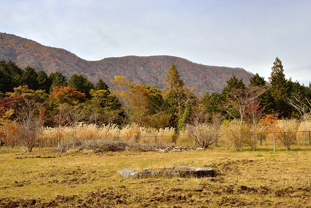 箱根湖尻の紅葉