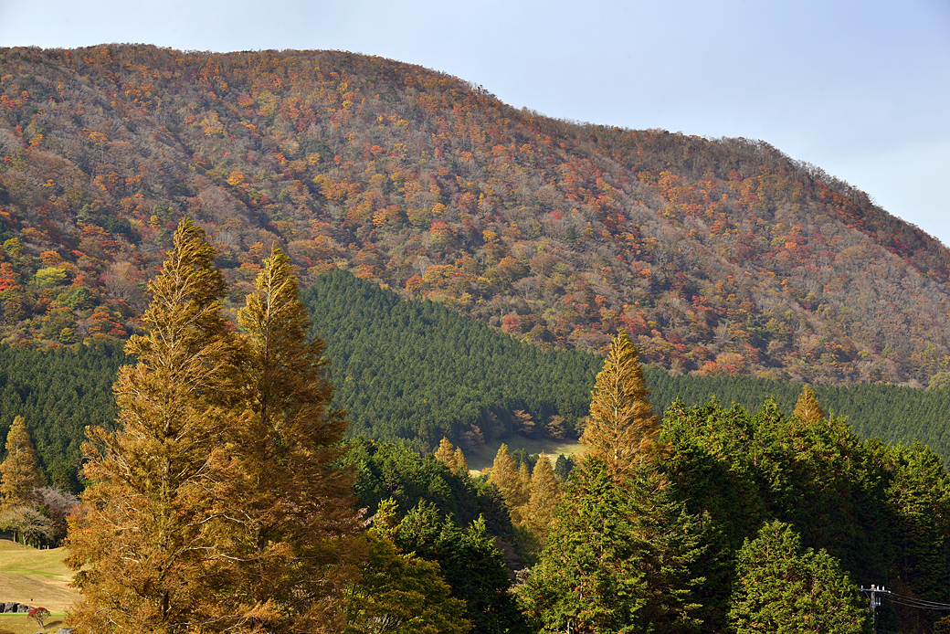 箱根湖尻の紅葉