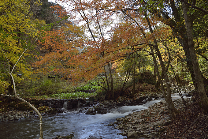 滑沢渓谷の紅葉