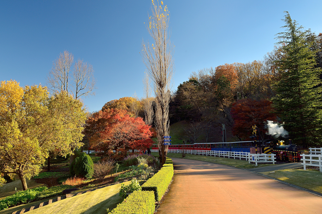 >虹の郷の紅葉