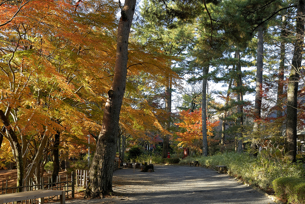 虹の郷の紅葉