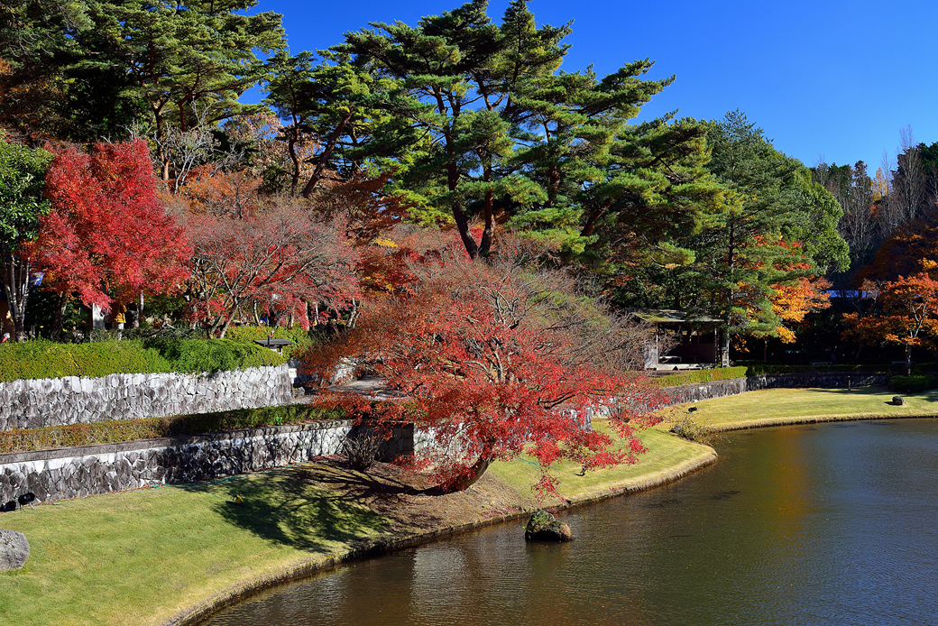 虹の郷の紅葉