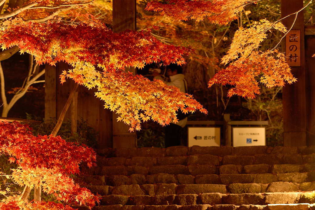 虹の郷の紅葉