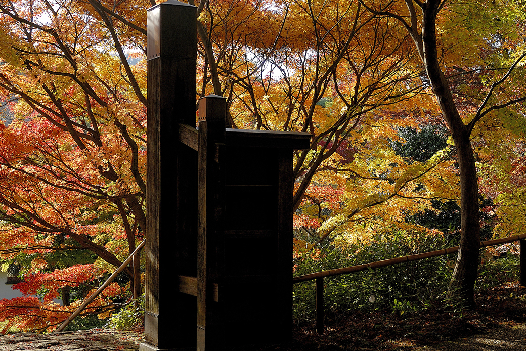 虹の郷の紅葉