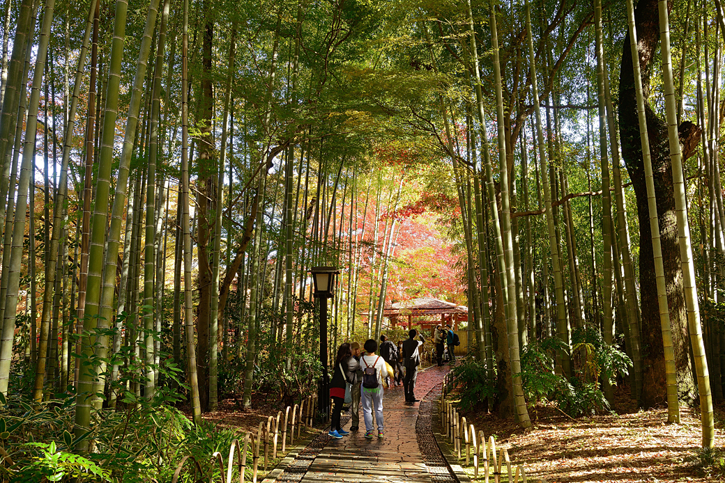 修善寺温泉の紅葉