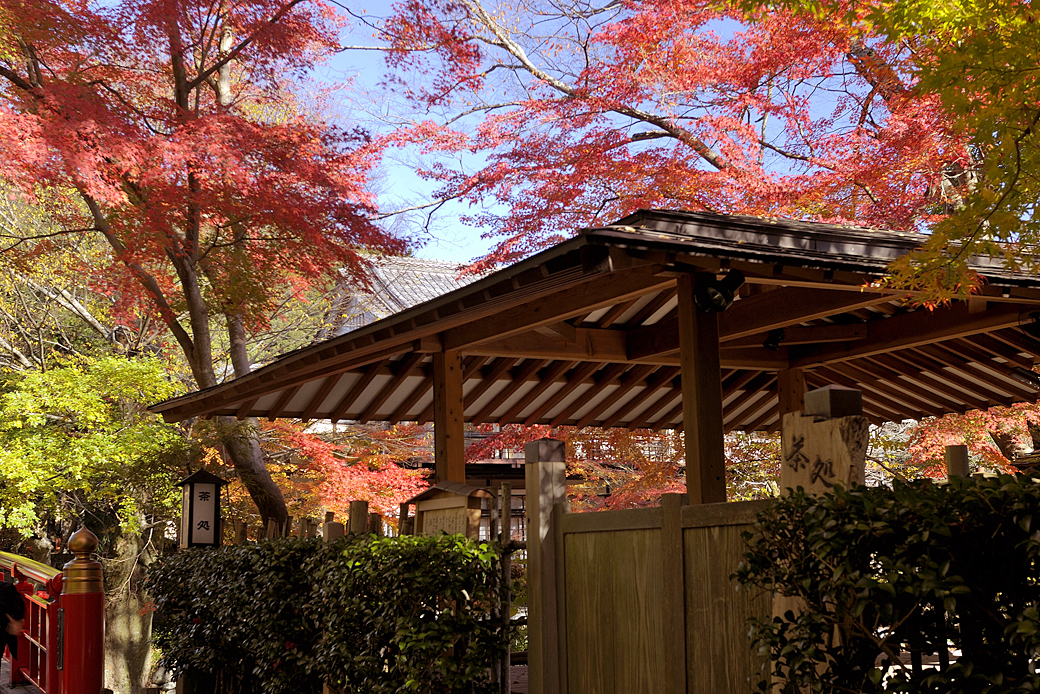 修善寺温泉の紅葉