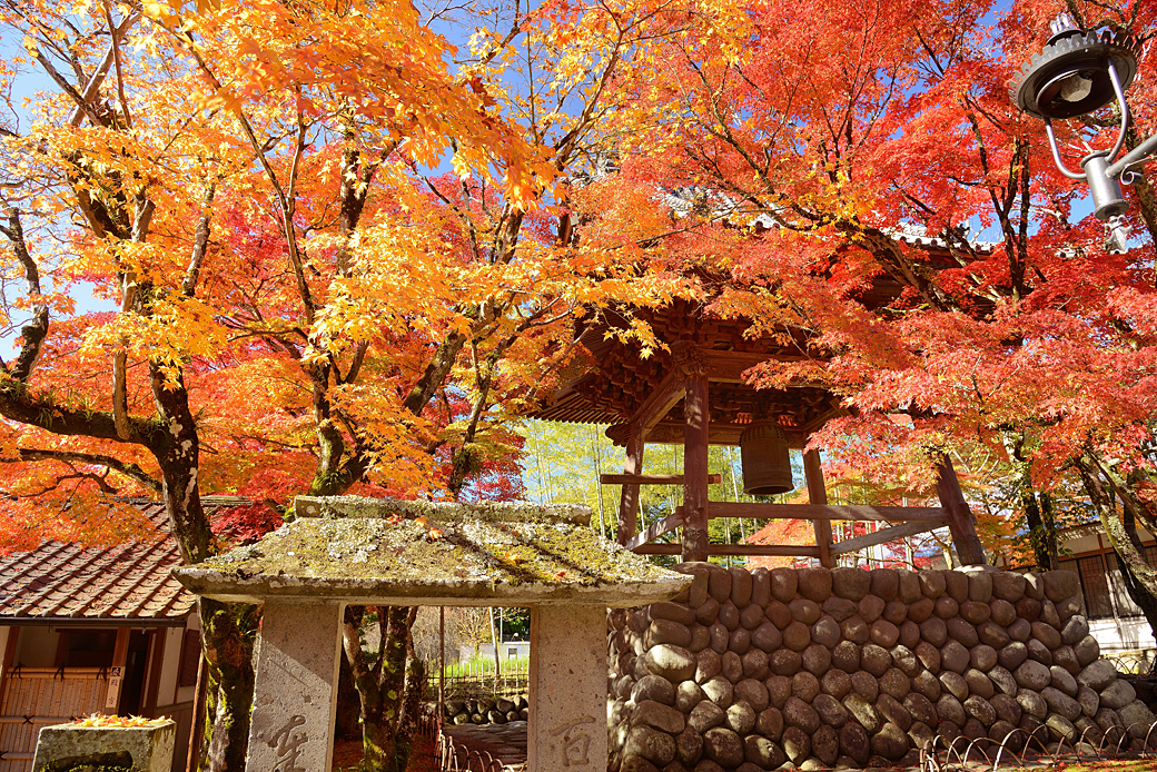 修善寺温泉の紅葉