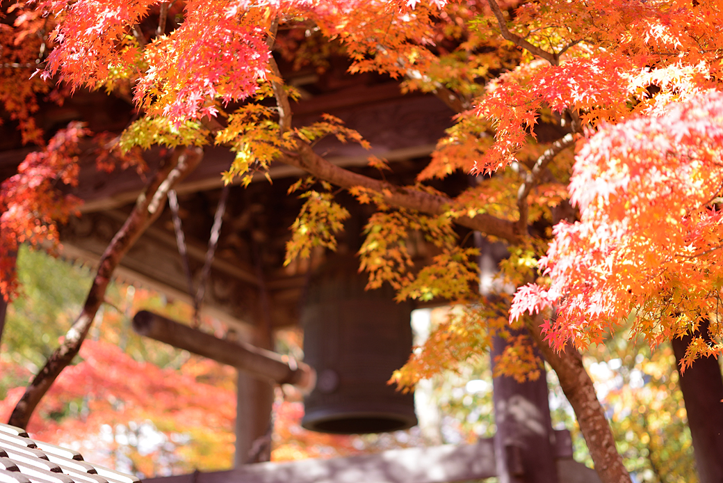 修善寺温泉の紅葉