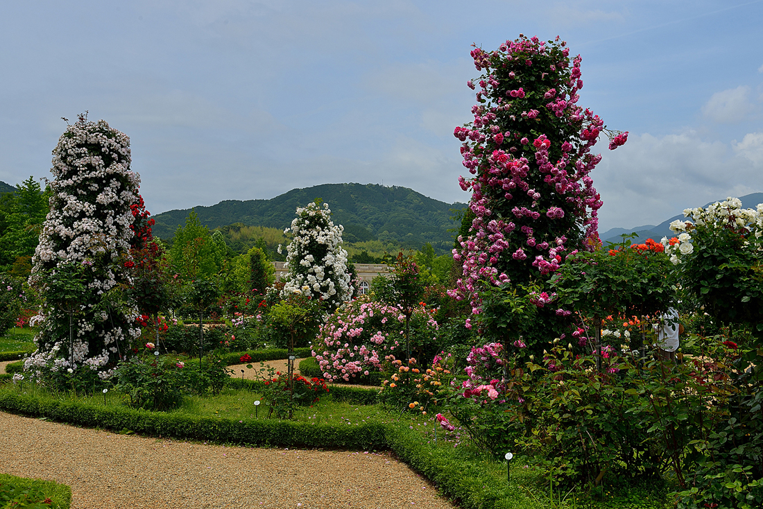 バガテル公園―スライドショー
