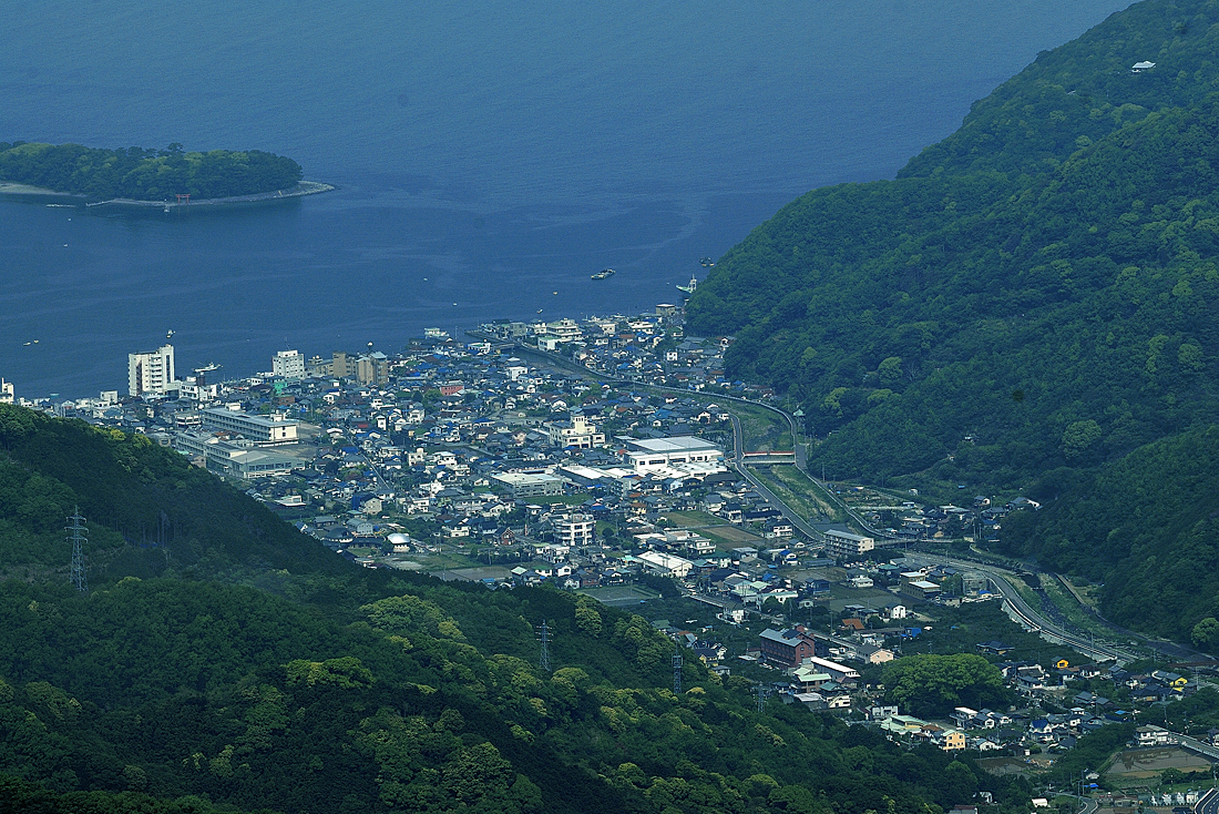 新緑の達磨山
