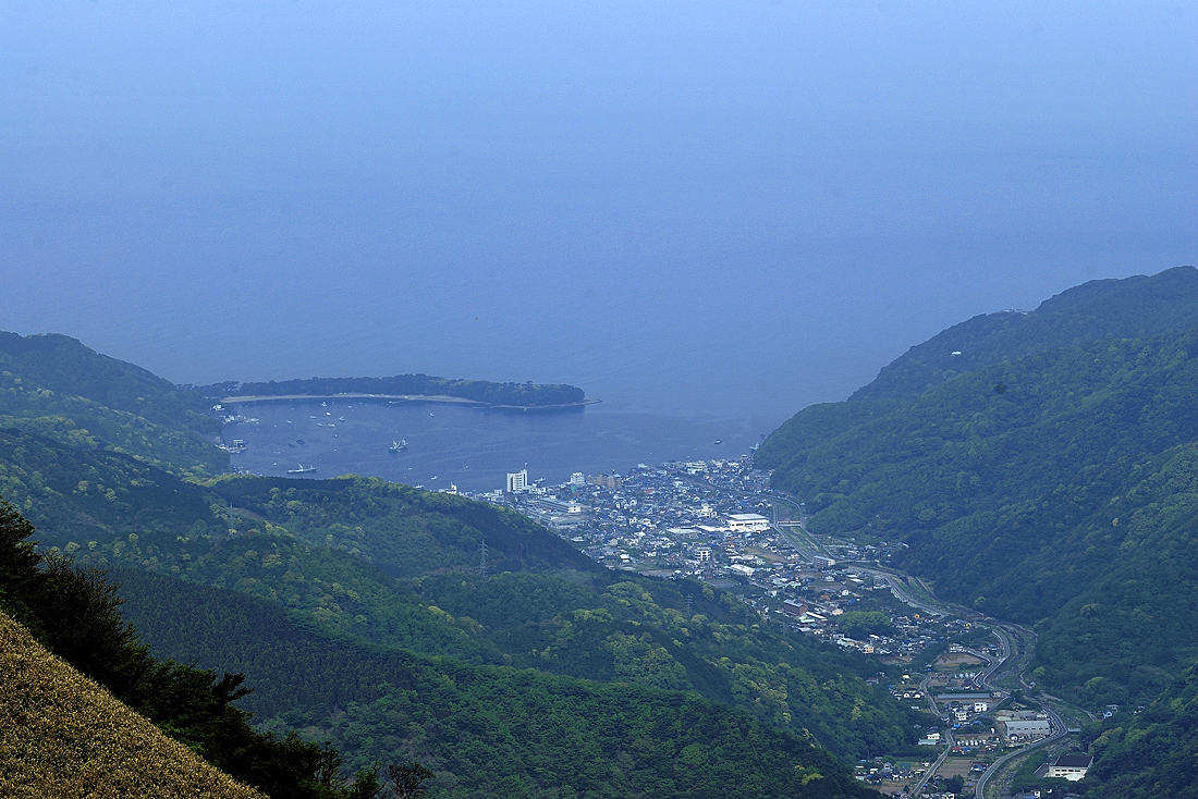 新緑の達磨山
