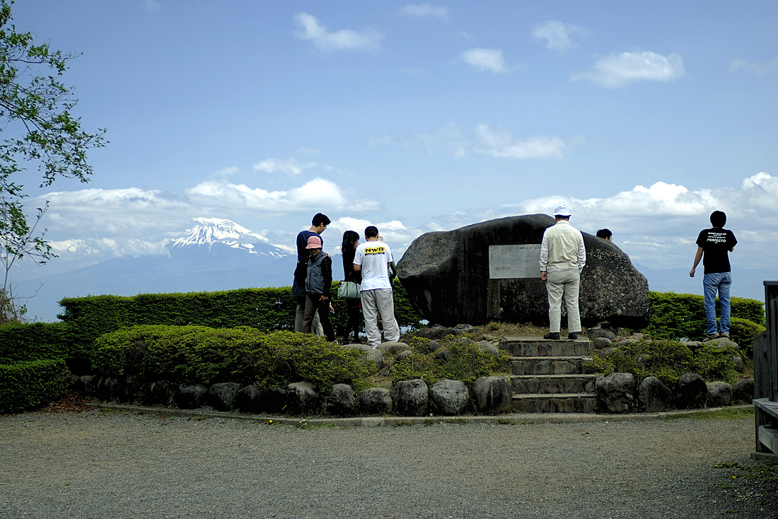 新緑の達磨山