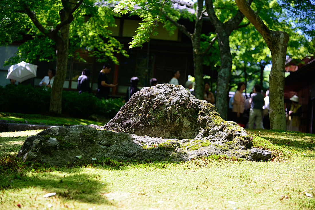 新緑の箱根美術館