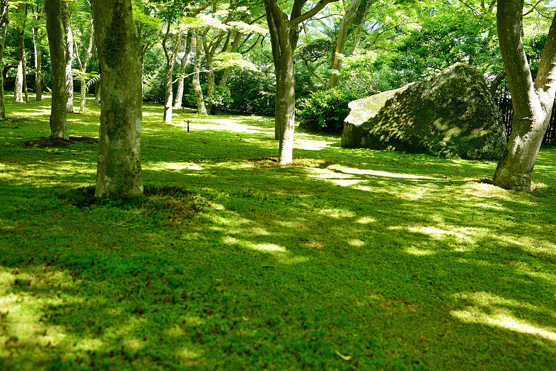 新緑の箱根美術館