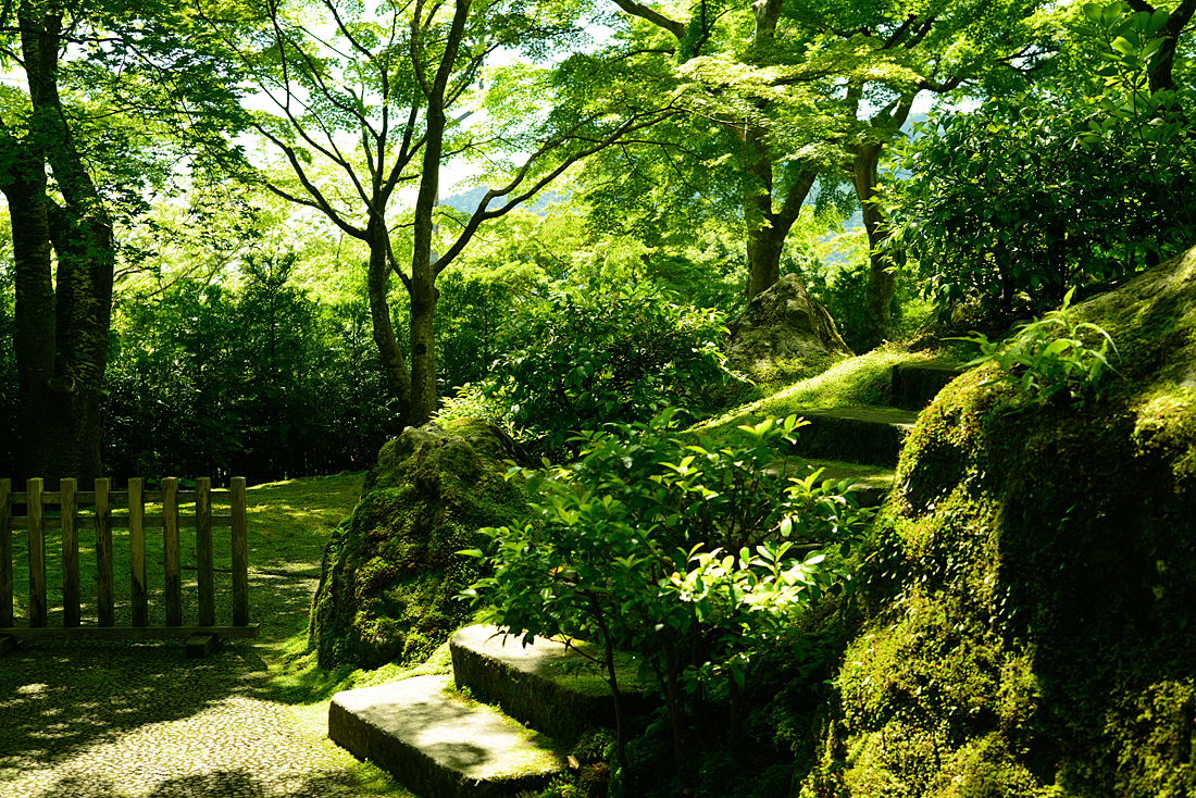 新緑の箱根美術館