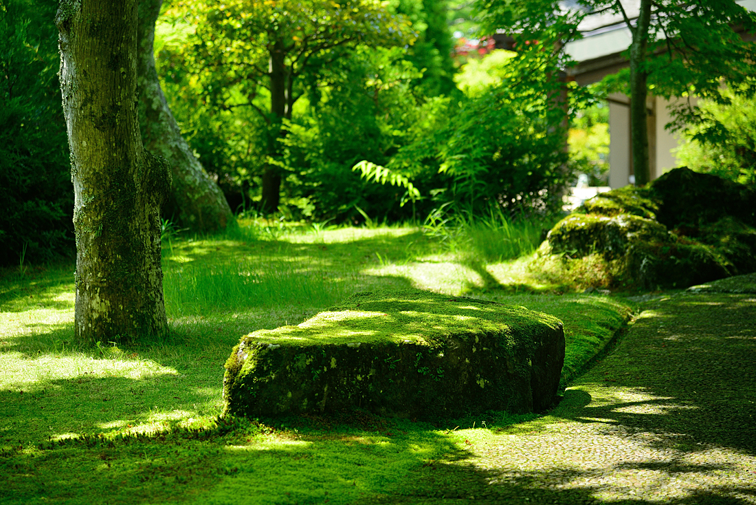 新緑の箱根美術館