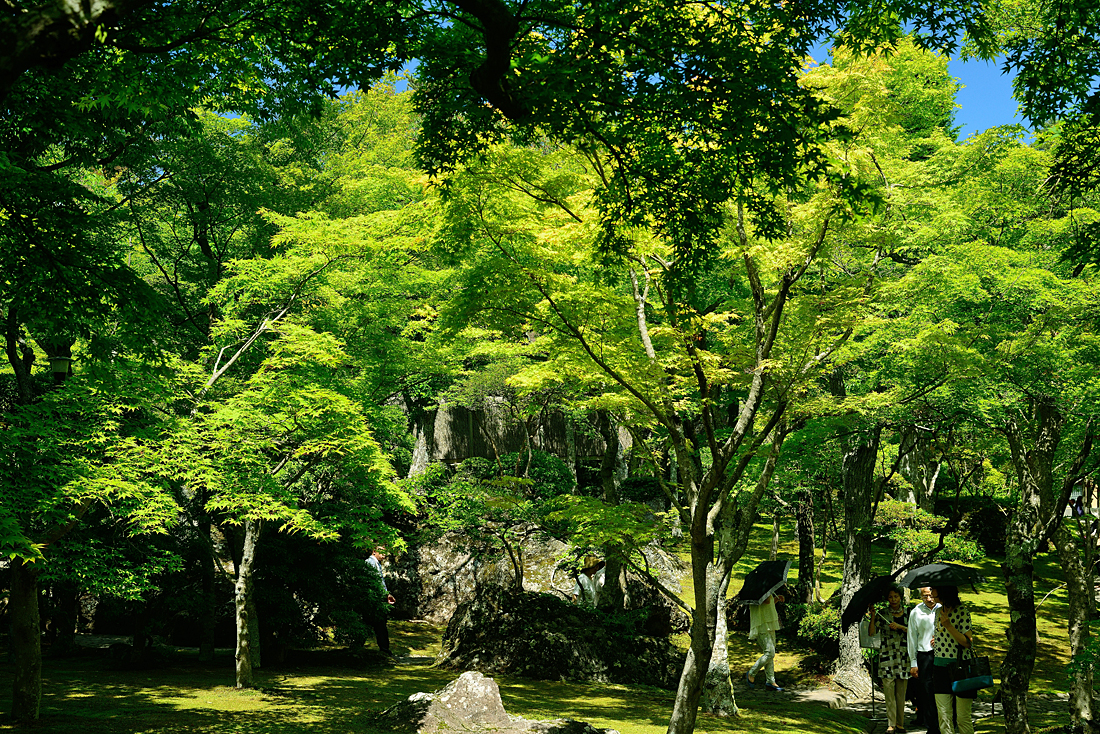 新緑の箱根美術館