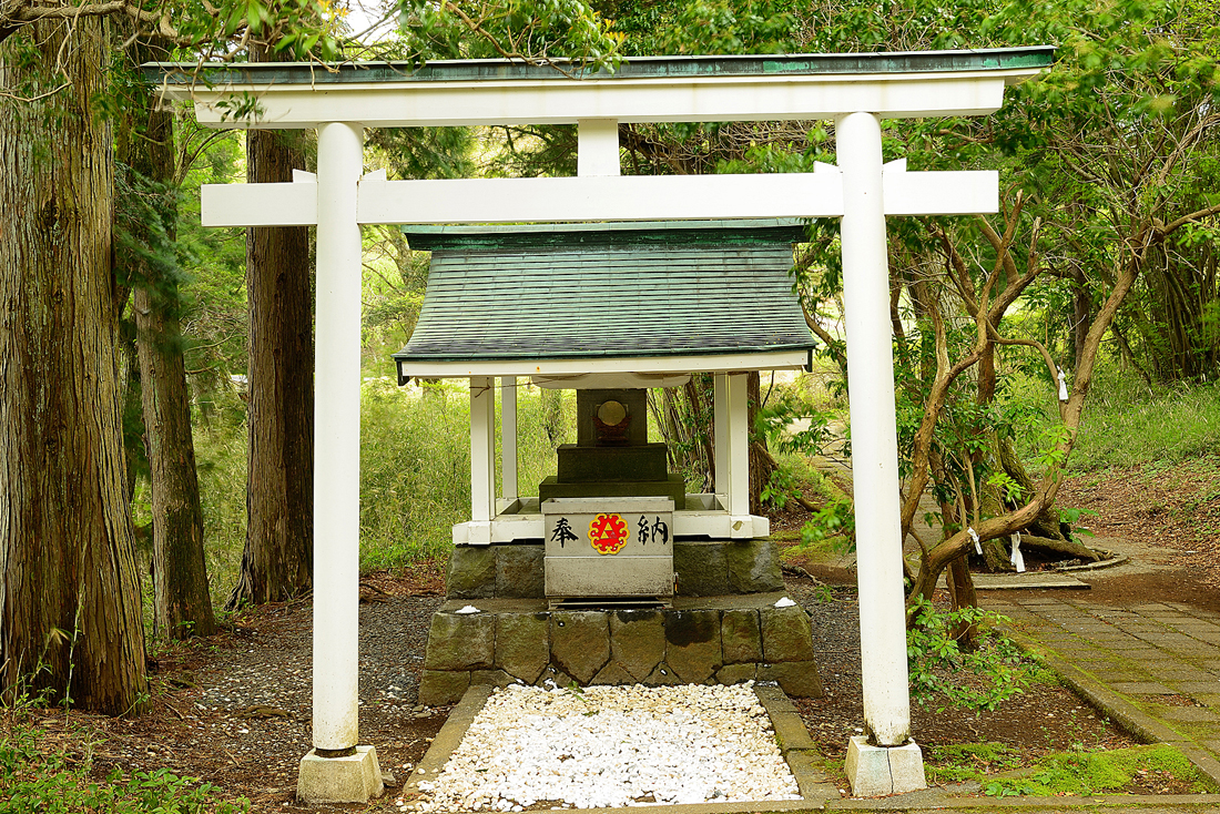 新緑の九頭龍神社本宮