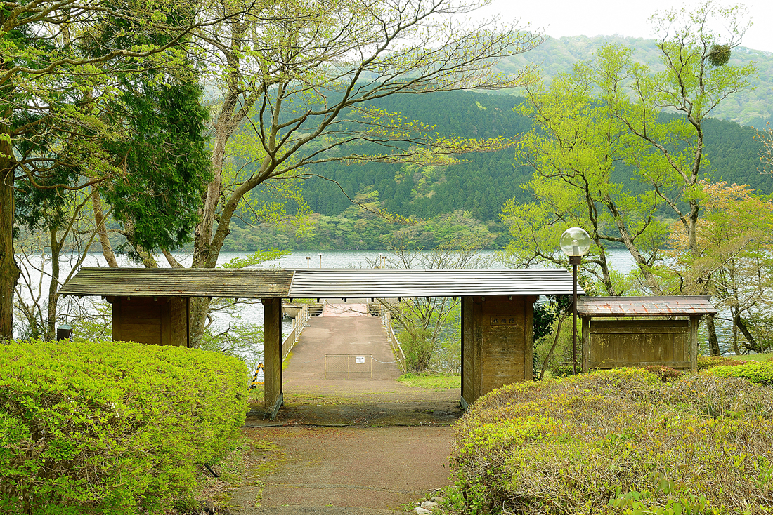 新緑の九頭龍神社本宮