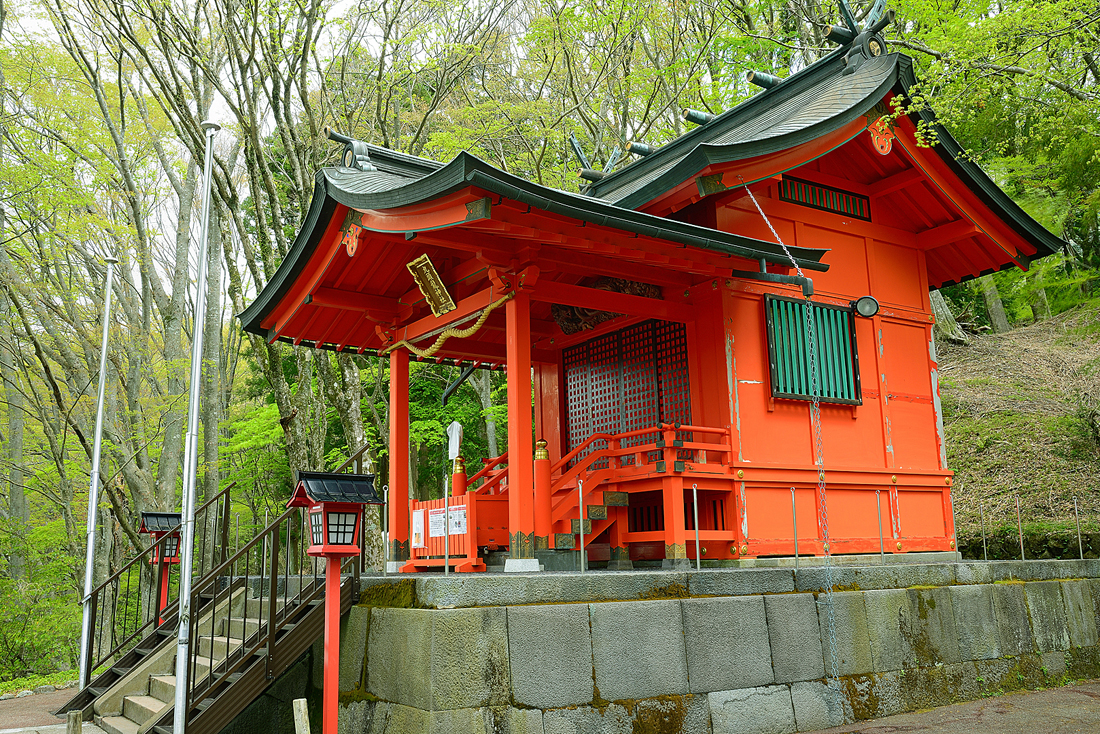 新緑の九頭龍神社本宮