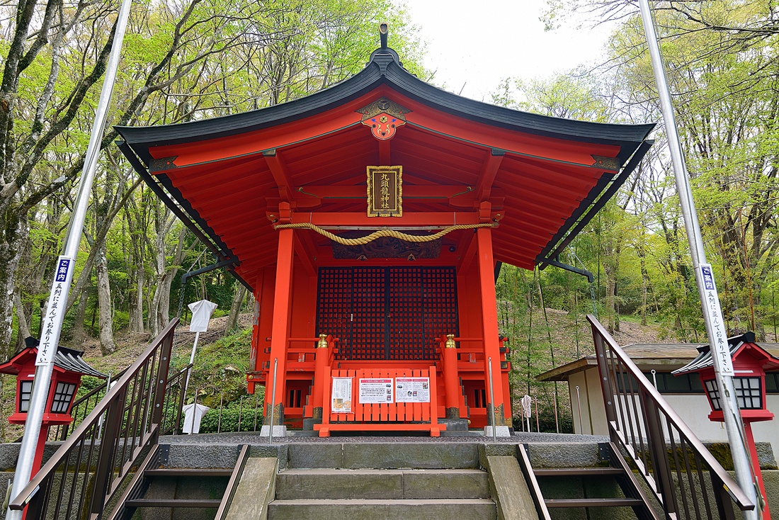 新緑の九頭龍神社本宮