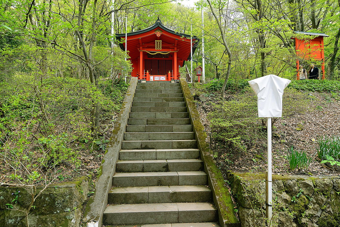 新緑の九頭龍神社本宮