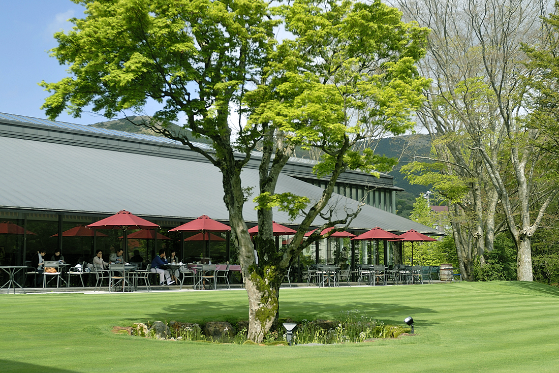 新緑のラリック美術館