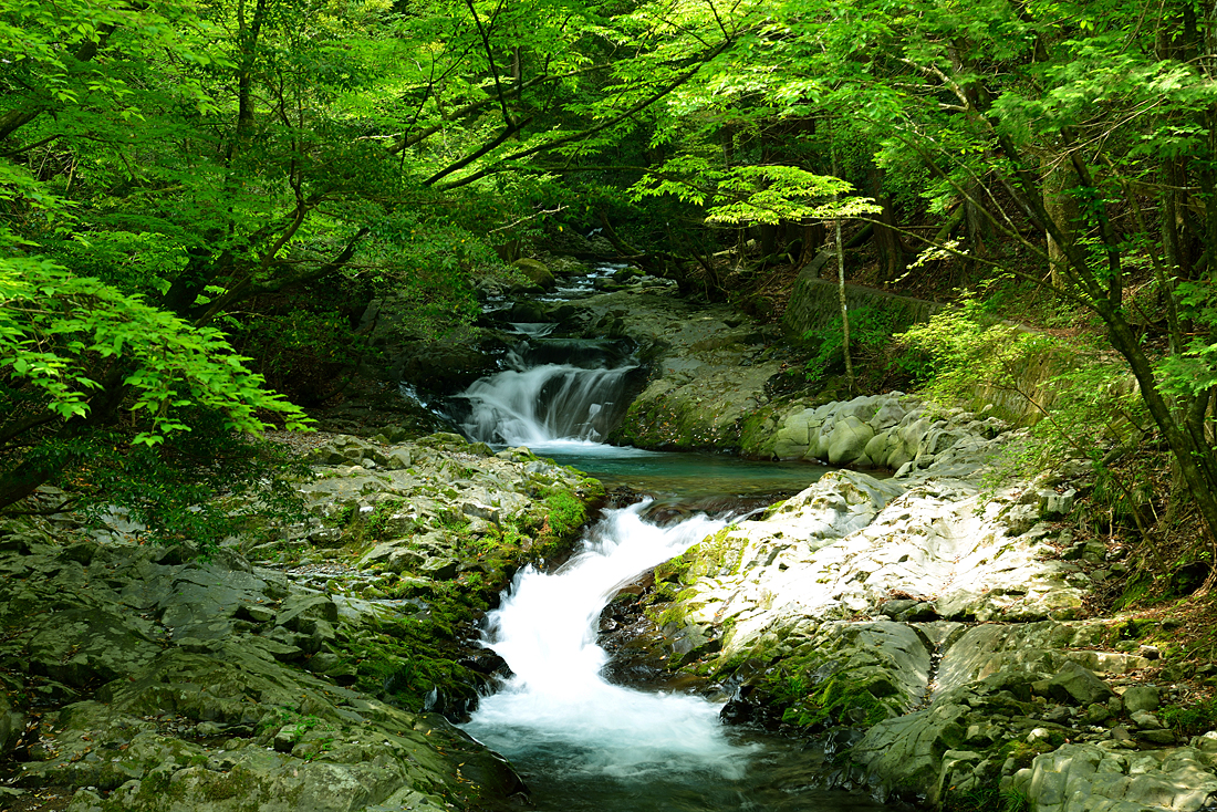 新緑の滑沢渓谷―スライドショー