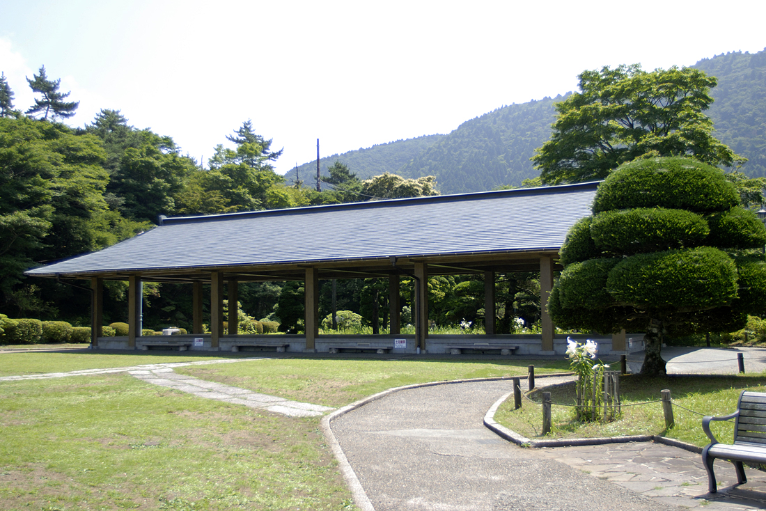 恩賜箱根公園の新緑