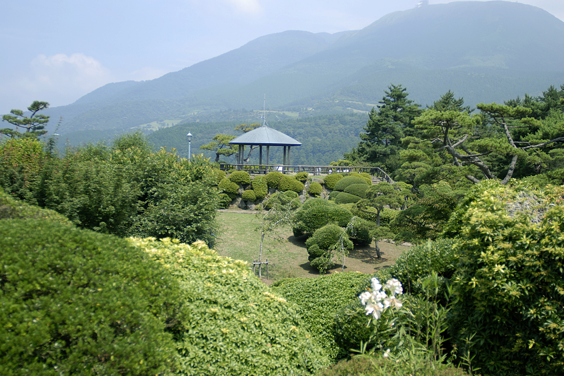 恩賜箱根公園の新緑