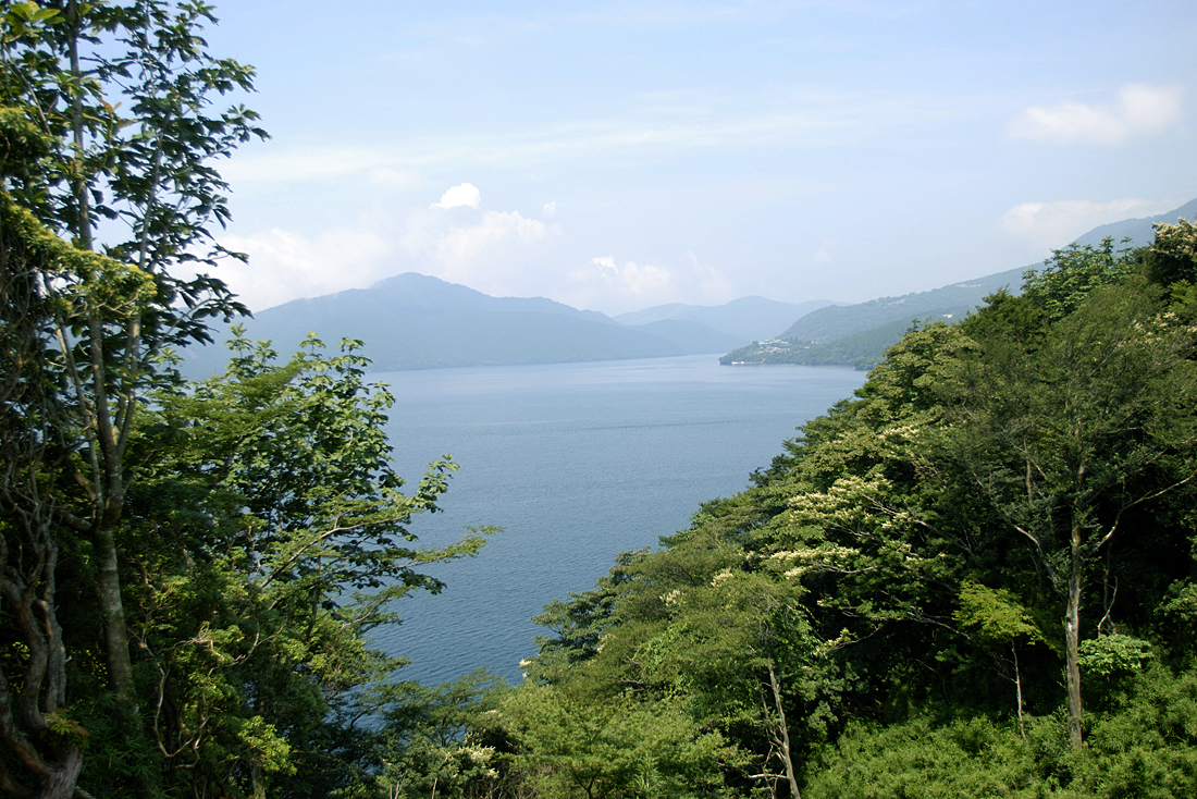 恩賜箱根公園の新緑